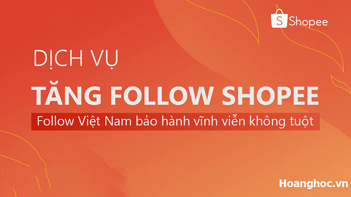 Dịch vụ tăng follow Shopee uy tín của Hoanghoc.vn